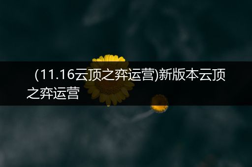 （11.16云顶之弈运营)新版本云顶之弈运营