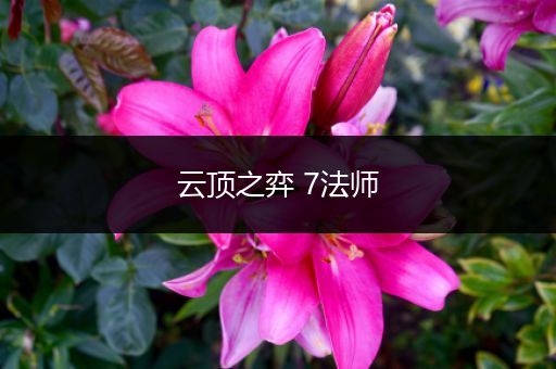 云顶之弈 7法师