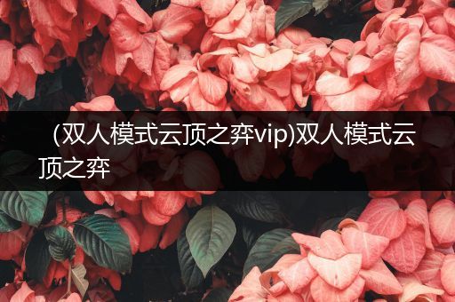 （双人模式云顶之弈vip)双人模式云顶之弈