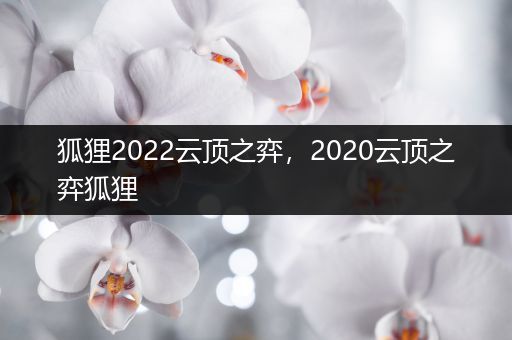 狐狸2022云顶之弈，2020云顶之弈狐狸