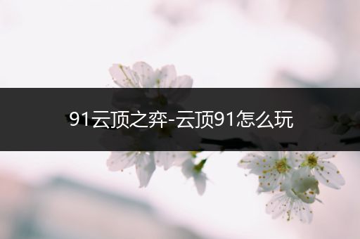 91云顶之弈-云顶91怎么玩