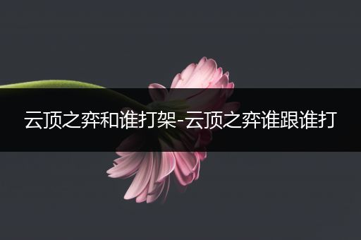 云顶之弈和谁打架-云顶之弈谁跟谁打
