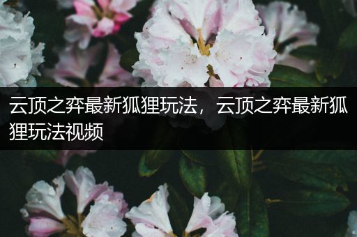 云顶之弈最新狐狸玩法，云顶之弈最新狐狸玩法视频