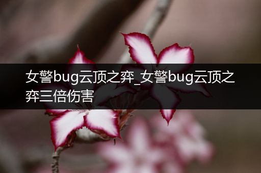 女警bug云顶之弈_女警bug云顶之弈三倍伤害