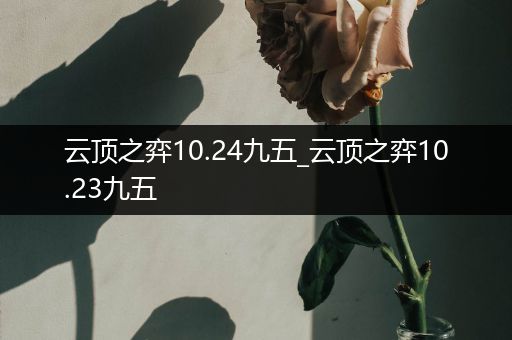 云顶之弈10.24九五_云顶之弈10.23九五