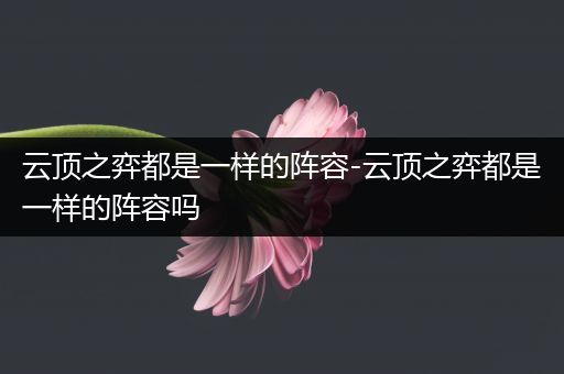 云顶之弈都是一样的阵容-云顶之弈都是一样的阵容吗