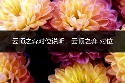 云顶之弈对位说明，云顶之弈 对位