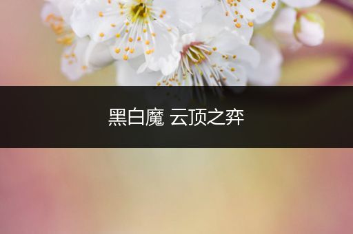 黑白魔 云顶之弈