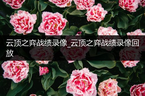 云顶之弈战绩录像_云顶之弈战绩录像回放