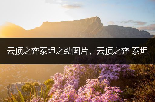 云顶之弈泰坦之劲图片，云顶之弈 泰坦