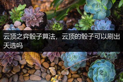云顶之弈骰子算法，云顶的骰子可以刷出天选吗