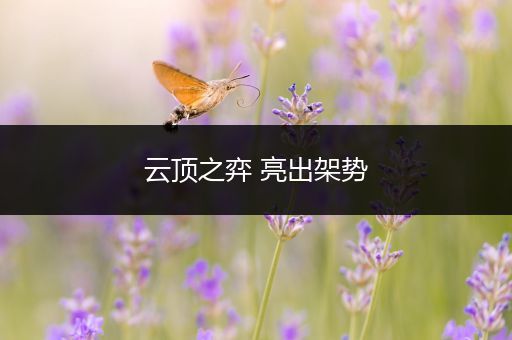 云顶之弈 亮出架势