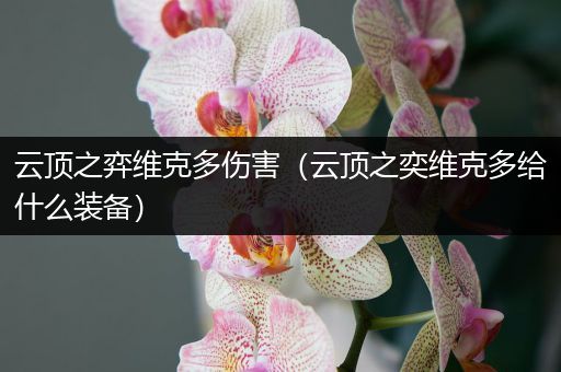 云顶之弈维克多伤害（云顶之奕维克多给什么装备）