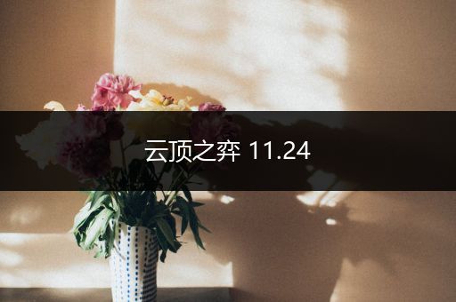 云顶之弈 11.24