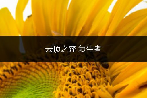 云顶之弈 复生者