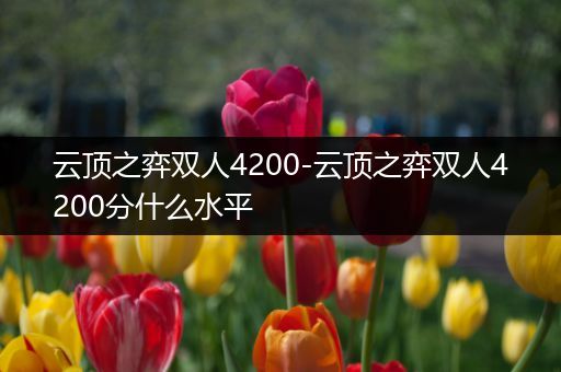云顶之弈双人4200-云顶之弈双人4200分什么水平