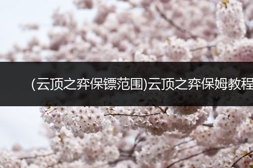（云顶之弈保镖范围)云顶之弈保姆教程