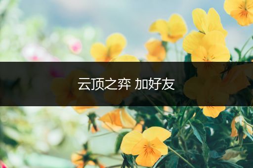 云顶之弈 加好友