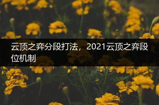 云顶之弈分段打法，2021云顶之弈段位机制