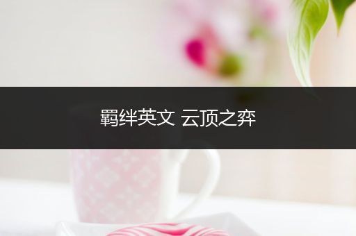 羁绊英文 云顶之弈