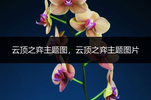 云顶之弈主题图，云顶之弈主题图片