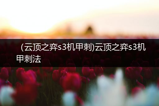 （云顶之弈s3机甲刺)云顶之弈s3机甲刺法