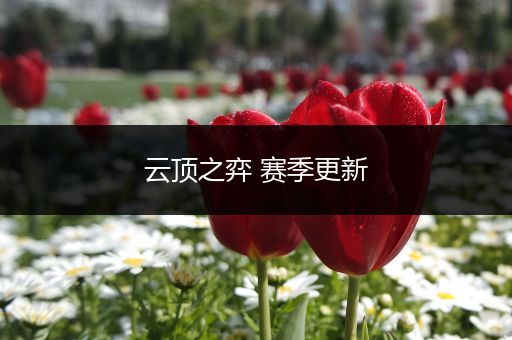 云顶之弈 赛季更新