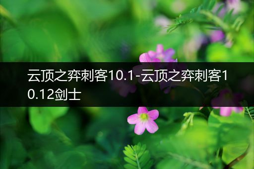 云顶之弈刺客10.1-云顶之弈刺客10.12剑士
