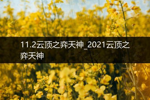 11.2云顶之弈天神_2021云顶之弈天神