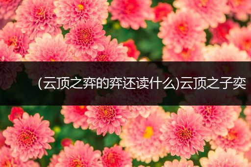 （云顶之弈的弈还读什么)云顶之子奕