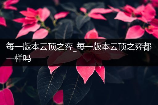 每一版本云顶之弈_每一版本云顶之弈都一样吗