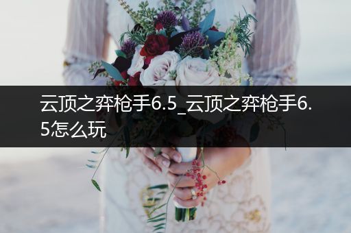 云顶之弈枪手6.5_云顶之弈枪手6.5怎么玩