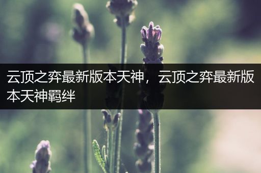 云顶之弈最新版本天神，云顶之弈最新版本天神羁绊