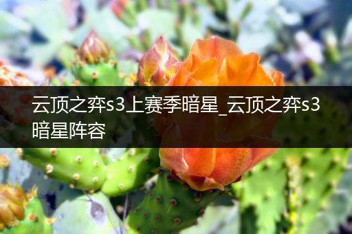 云顶之弈s3上赛季暗星_云顶之弈s3暗星阵容