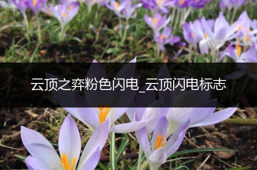 云顶之弈粉色闪电_云顶闪电标志