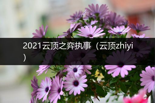 2021云顶之弈执事（云顶zhiyi）