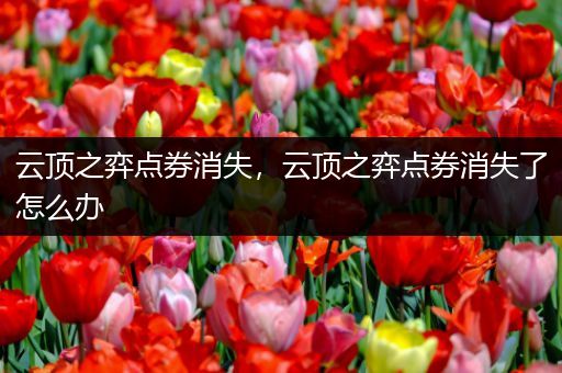 云顶之弈点券消失，云顶之弈点券消失了怎么办