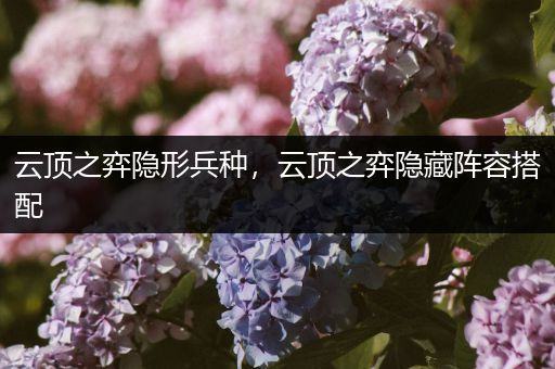 云顶之弈隐形兵种，云顶之弈隐藏阵容搭配
