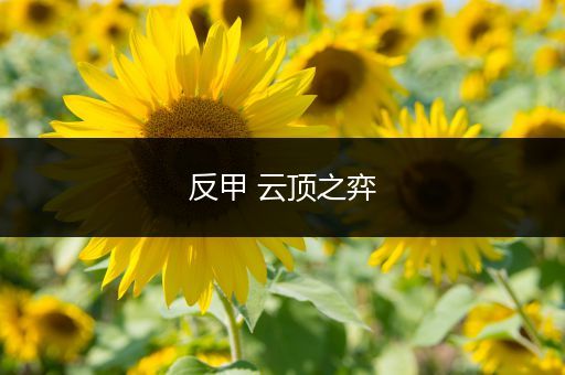 反甲 云顶之弈