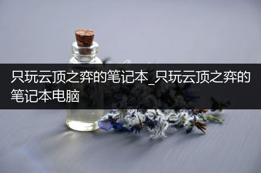 只玩云顶之弈的笔记本_只玩云顶之弈的笔记本电脑