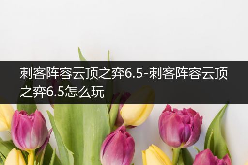 刺客阵容云顶之弈6.5-刺客阵容云顶之弈6.5怎么玩