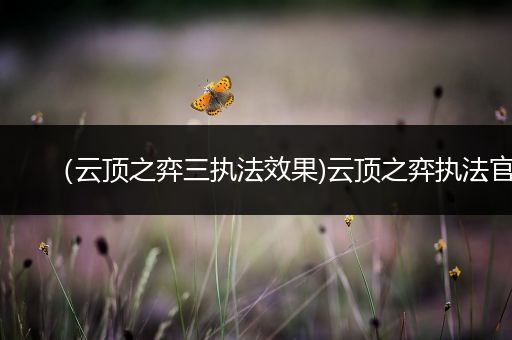 （云顶之弈三执法效果)云顶之弈执法官
