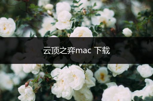云顶之弈mac 下载