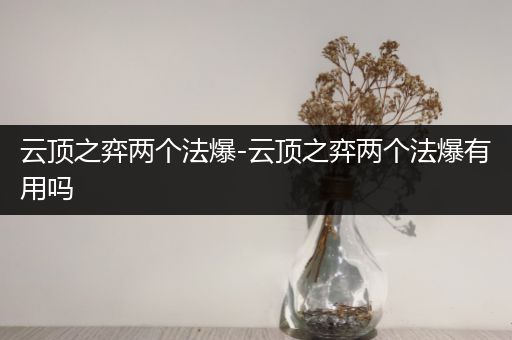 云顶之弈两个法爆-云顶之弈两个法爆有用吗