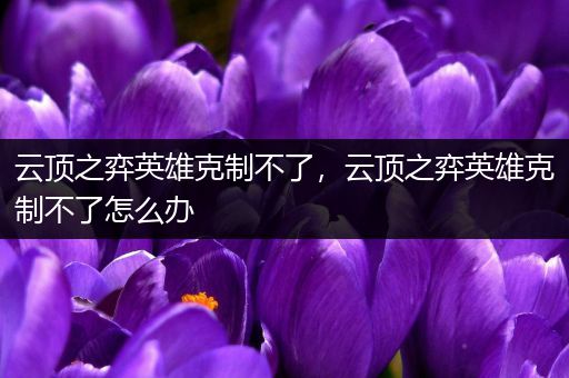 云顶之弈英雄克制不了，云顶之弈英雄克制不了怎么办