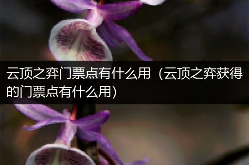 云顶之弈门票点有什么用（云顶之弈获得的门票点有什么用）