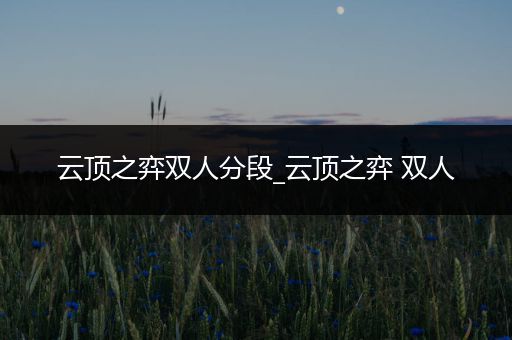 云顶之弈双人分段_云顶之弈 双人