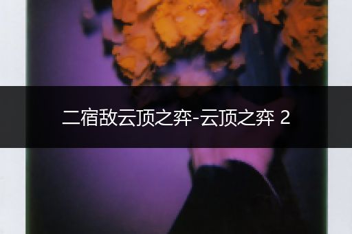 二宿敌云顶之弈-云顶之弈 2