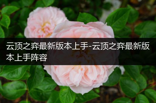 云顶之弈最新版本上手-云顶之弈最新版本上手阵容