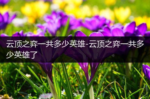 云顶之弈一共多少英雄-云顶之弈一共多少英雄了